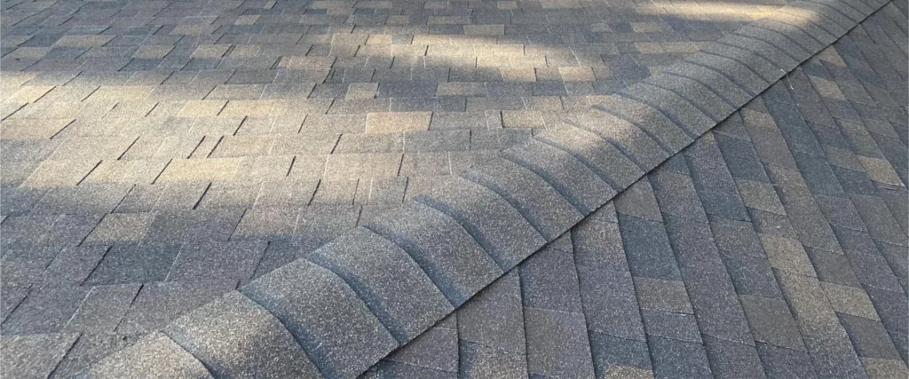 cat6-shingles_2 Contact